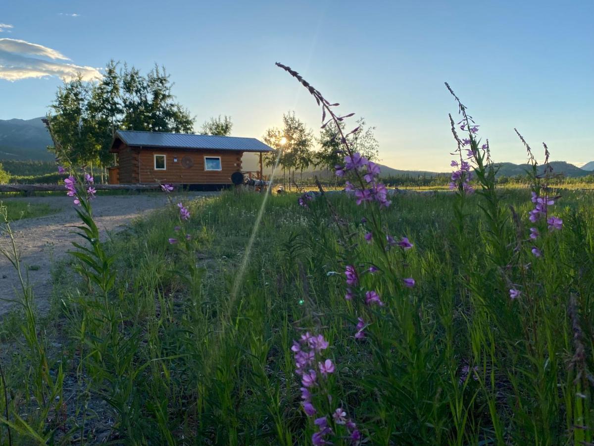 ホワイトホース Oma'S And Opa'S Northern Lights Viewing Cabinヴィラ エクステリア 写真