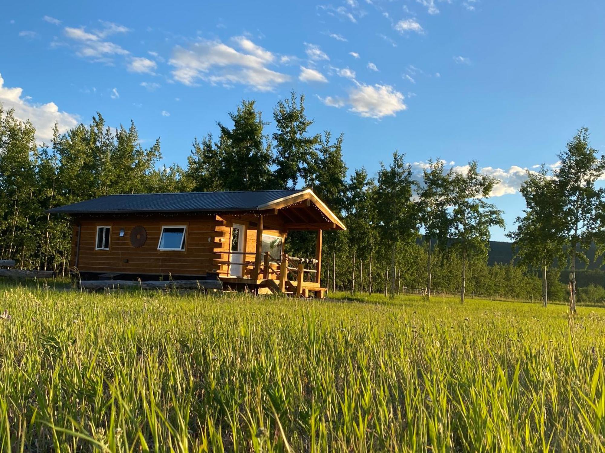 ホワイトホース Oma'S And Opa'S Northern Lights Viewing Cabinヴィラ エクステリア 写真